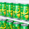 XO Ginger & Lemon Soda - 12er Pack